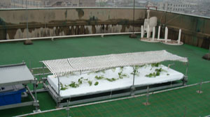 �n�C�|�j�J�͔|