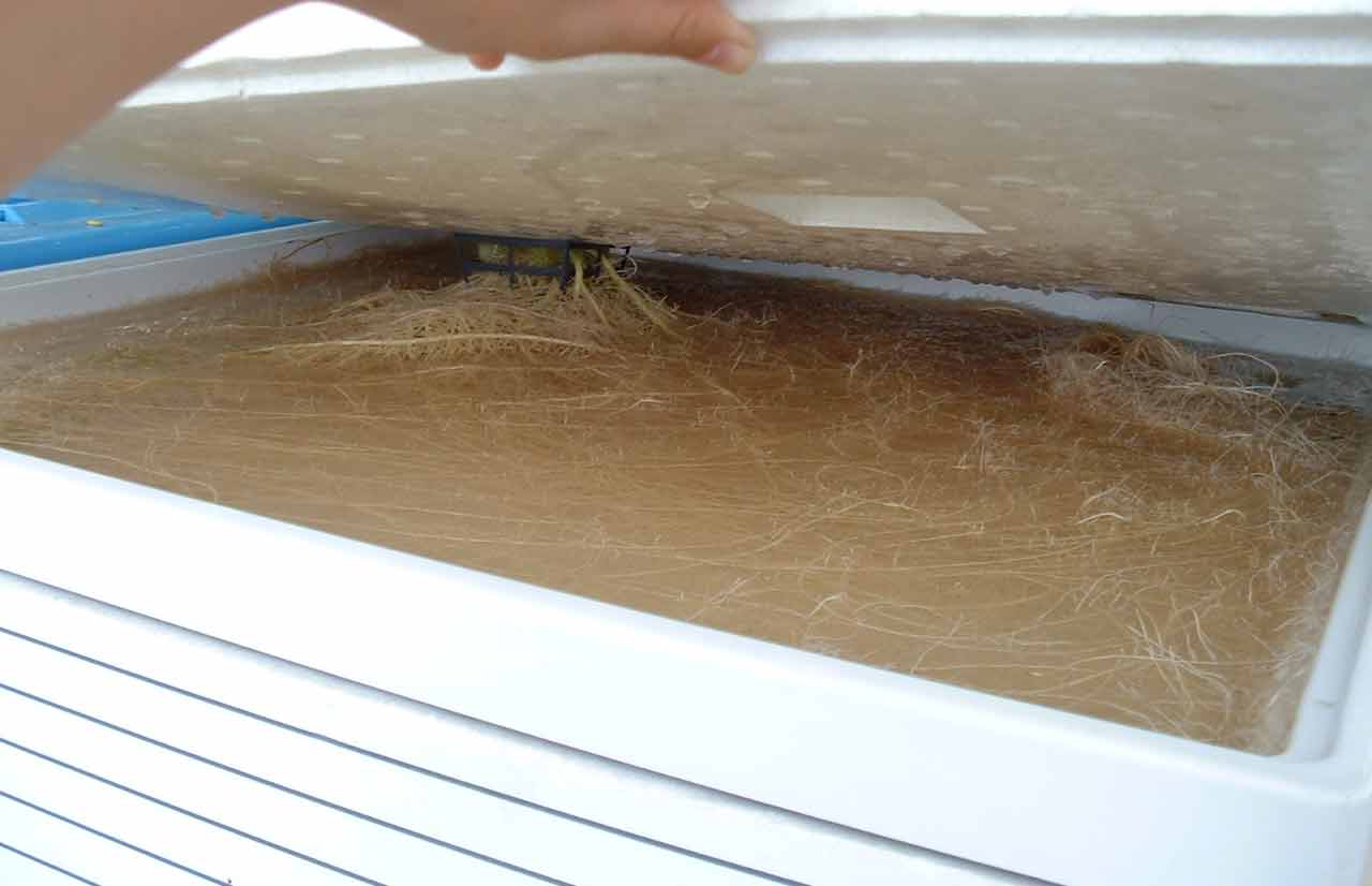 ホームハイポニカ303