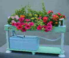 �z�[���n�C�|�j�J�T�O�P