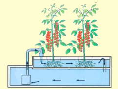 �z�[���n�C�|�j�J�R�O�R