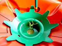 �z�[���n�C�|�j�J�U�O�P