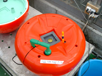 �z�[���n�C�|�j�J�U�O�P