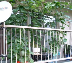 �G�R�ƒ�؉��@�z�[���n�C�|�j�J