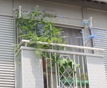 �G�R�ƒ�؉��@�z�[���n�C�|�j�J