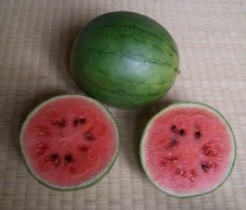 �G�R�ƒ�؉��@�z�[���n�C�|�j�J