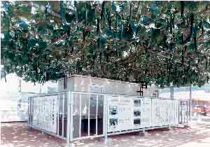 �����͔|���イ��@�n�C�|�j�J�͔|