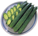 �L���E���V���L�b�g