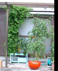 �z�[���n�C�|�j�J�@�ƒ�؉��~�j�g�}�g