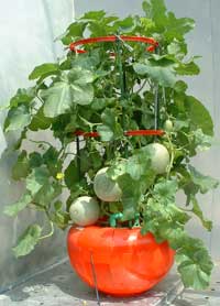 �z�[���n�C�|�j�J�U�O�P�@�l�b�g�������p���i