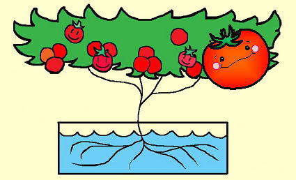 ホームハイポニカ303