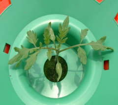 �z�[���n�C�|�j�J�@�ƒ�؉��~�j�g�}�g