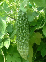 �j�K�E�����ꂢ��