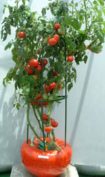 �z�[���n�C�|�j�J�U�O�P�@�g�}�g