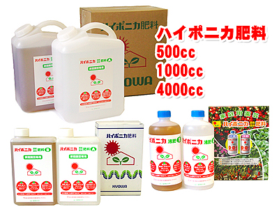 �n�C�|�j�J�엿